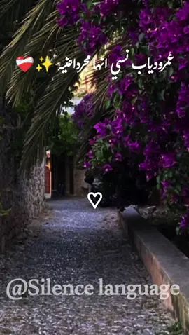 نسيانك ده عايز له اراده ❤️‍🩹 #استوريات #استوريهات #عمرو_دياب #اغاني_حزينه #وتساب_بندقfypシ゚ #اكسبلورexplore #foryou #fypシ゚viral🖤tiktok 