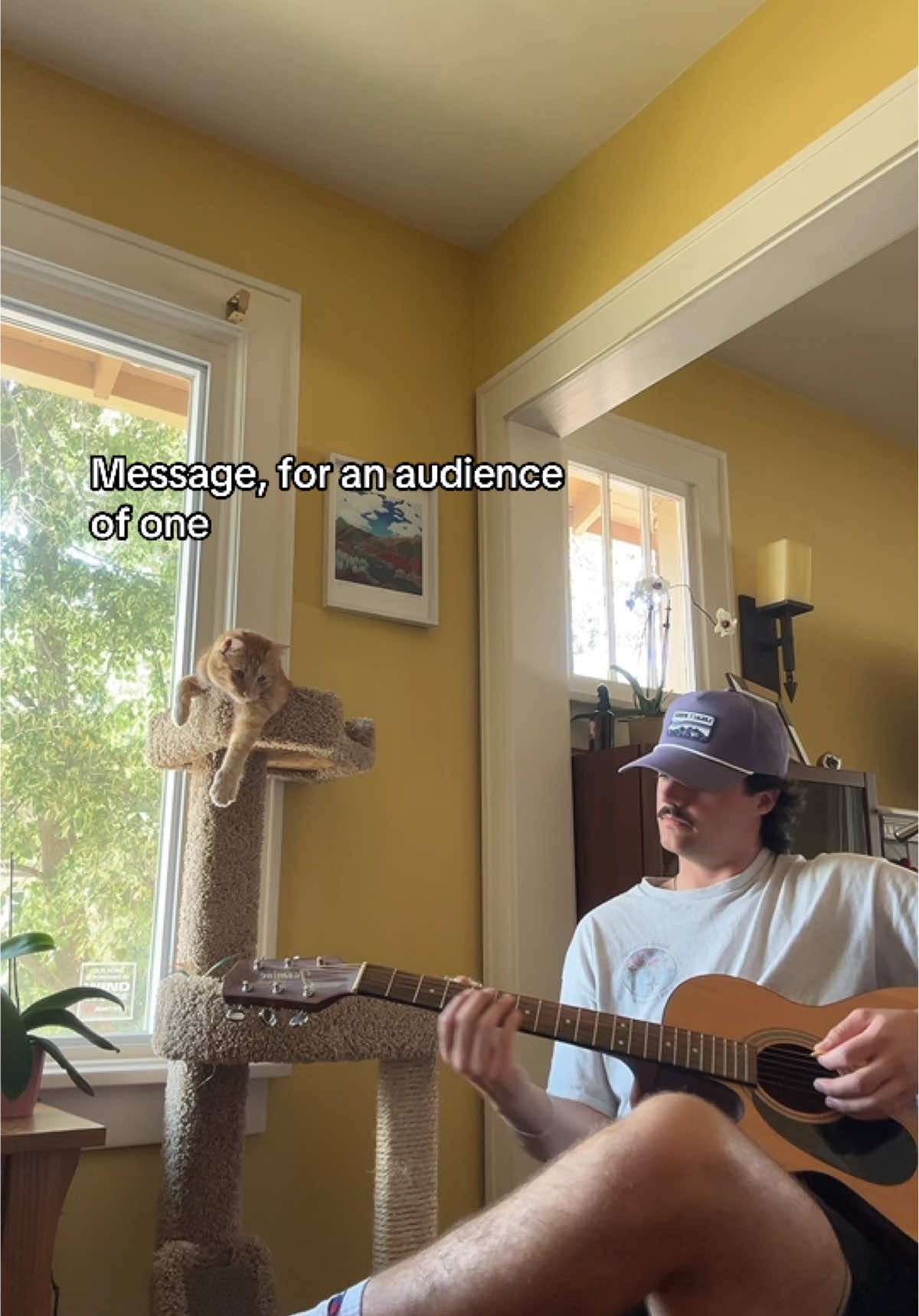 his name is chili #cover #alexg #foryoupage #cat #fyp #guitar #message #acoustic #foryou #guitartok 