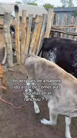 #fypシ゚viral #fypシ゚viral #paratiiiiiiiiiiiiiiiiiiiiiiiiiiiiiii #fyp #rancho 