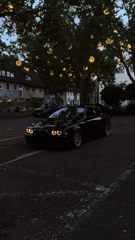 Evening glow 🔥🤍 #BMW #E39 #BBS #clean #whiterosecrew #glow #eveningvibes #mafia #mafiacar 