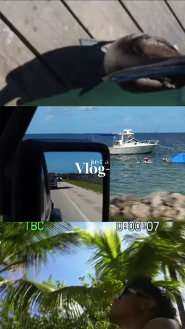 Just a little vlog #keywest #vacation#travel #fyp 