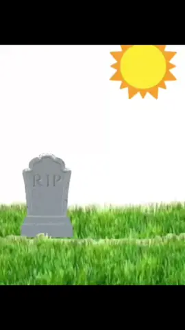 Q divertido, haré más cosas con el gato verde #edit #gatos #alansutton #animation #funny 