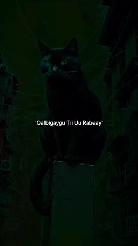 23:59)Ma Qofbaa qofkiisa Nacoo Ambase gooyayee😭🫶🏻🫂