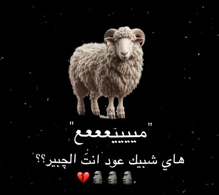 فيديو بس للشقه