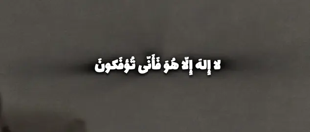 يا أيها الناس اذكروا نعمت الله عليكم ……#قران_كريم #تلاوة_خاشعة #صدقة_جارية #تلاوة #اجر #لا_إله_إلا_الله 