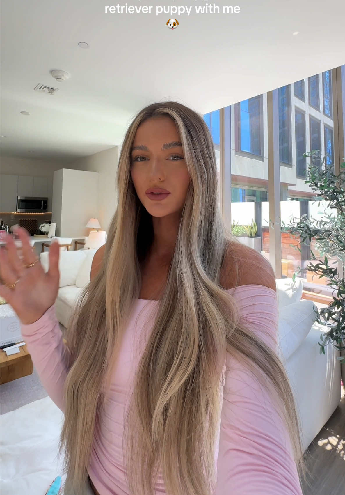 SURPRISEEEEE meet freddie 🥹 #newpuppyvlog #newpuppy #goldenretrieverpuppy 