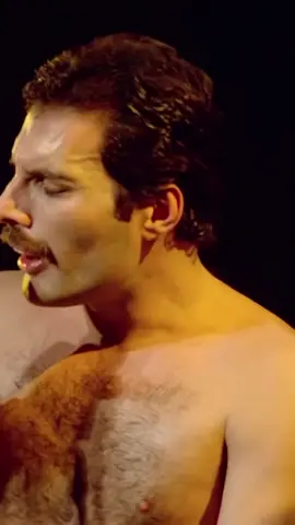 Love of My Life Live in Montreal, 1981 #freddiemercury #brianmay #rogertaylor #johndeacon #queenband