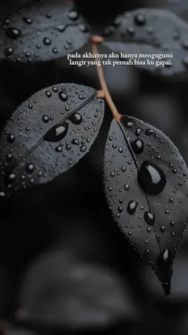 karna demi cinta ... #cintatakbersyarat #element #CapCut #quotes #storywa 