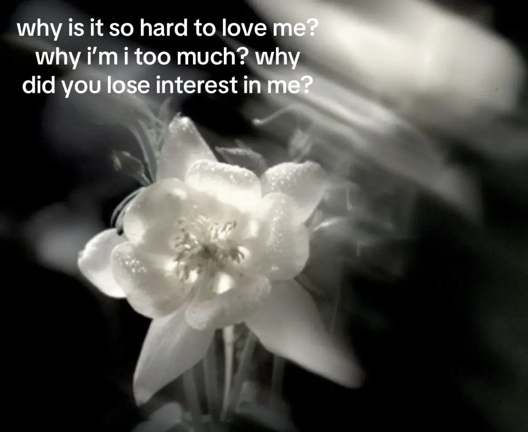 would i even like the answer to those questions? #fyp #girlthoughts #real #foryoupage #relatable #aesthetic #foryou #flowers #pinterest #fypシ #viral #fypシ゚viral #fyppppppppppppppppppppppp 