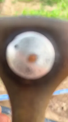 #جهم #صرواح_مارب_الجوف_جهم #الصالحي 