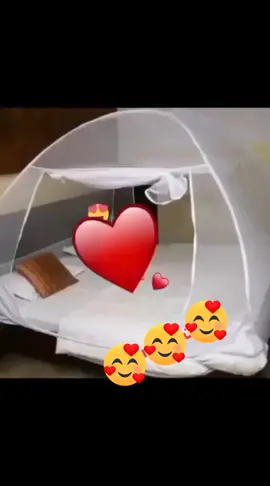 ولد أهن صاحب الفخامة 