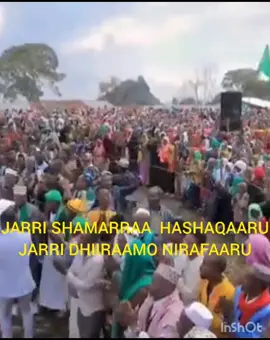 #oromotiktok❤️💚❤️ethiopiantiktok #jibuuti #sudaan ###