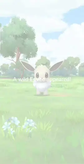 Community shiny IVs be like ✨️ 🤣 #pokemon #pokemongo #fyp #grind #pokemoncommunity #eevee #shiny #theraidking 