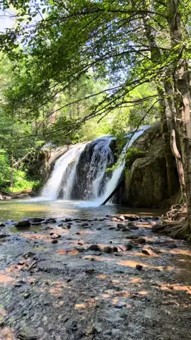Saturday Hike On The Lewis Creek Trail 🥾🏞️ #Yosemite#Fyp#LewisCreekTrail#BassLake#Oakhurst#Hike#Fresno#559#YosemiteNationalPark#Nature#Hiking#Waterfall#Summer#RedRockFalls#CorlieuFalls#CapCut 