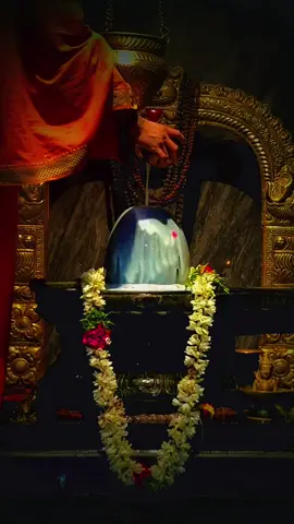 #thennadudaiya_shivane_potri🕉🔱🙏 #om #omnamahshivaya #anbesivam #shivanirukabayamen #ellampugalumiraivanukke #blessed #thankyou #mahdev🕉️🙏❤️ #lordshivanblessing🕉🔱📿🌹 #harharmahadev🙏🙏mahakaal #goodday #postivevibes #goodvibesonly🥰 