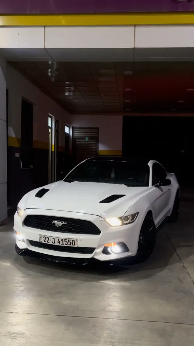 #duhok #zakho♥️😻 #arbil #kerkok #explor #trend #mustang #gt 