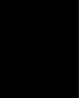 naruto: 