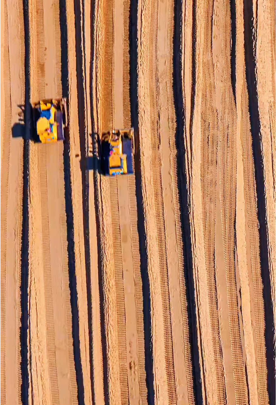 Chinese people have been planting trees in the desert for 60 years #foryoupage #usa🇺🇸 #fyp #Americandream #china #chinatravel #