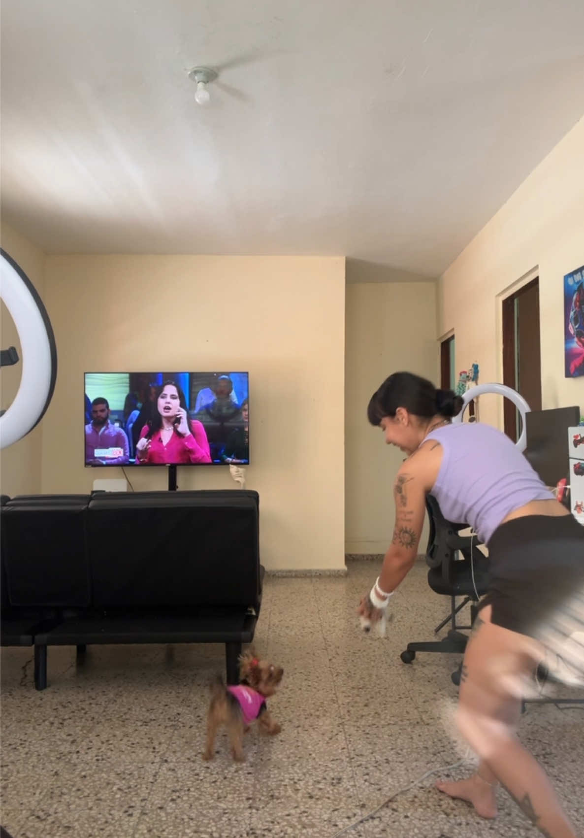 #LiveOutlandish Ella es todo un amor la amo tanto! ♥️🥰😍 Adoro correr por toda la casa jajajaja 
