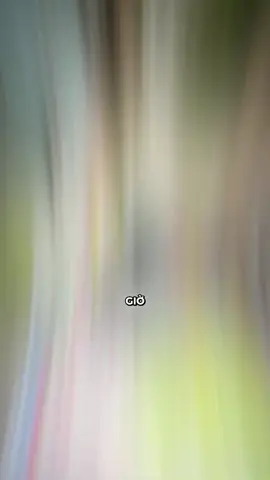 #hashtagxuhuong ae mình nhậu nhẹt xong lm tí tay vịn nhỉ🥰🥰#tamtrang #tamtrangbuon💔 #xuhuong #hashtagxuhuong #xuhuongtiktok #xuhuonghottrend❤️ 