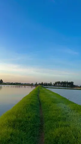 Hôm nay gởi lại một chút bình yên cho mọi người nha #mientay #chill #canhdep #sharknee 