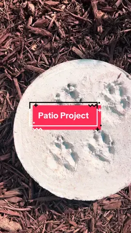 I love it 🥰🐶🐾 #dogparents #pawprints #diyprojects 