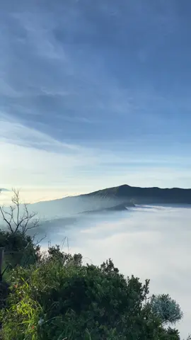 Bromo vibes negeri dongeng🧚🏼‍♀️ #fyp #fypシ゚viral #fypシ #bromotenggersemeru #liburan #bromo #aesthetic #weekend 