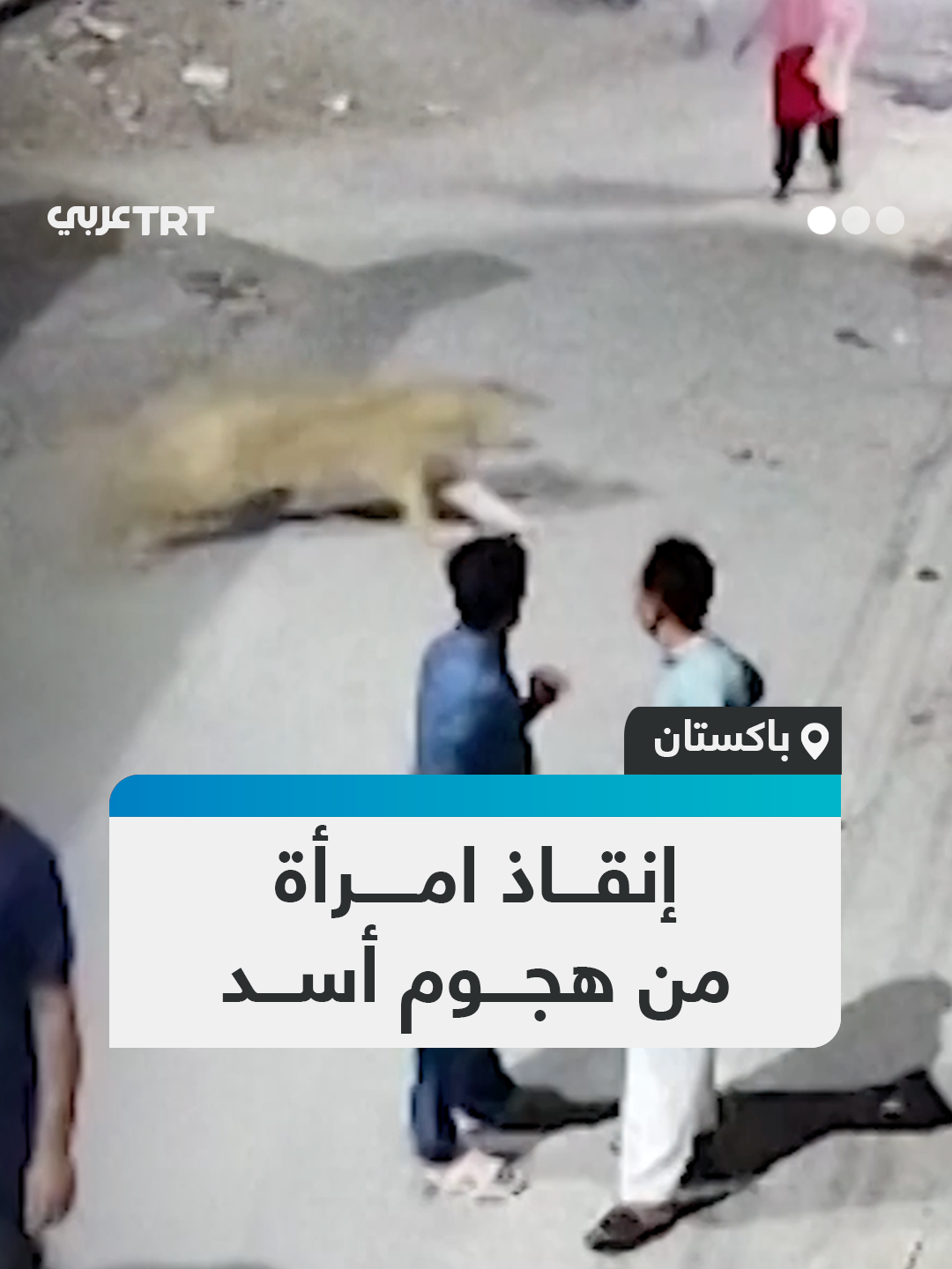 أسد هارب يهاجم امرأة في أحد شوارع لاهور ثاني أكبر مدينة في #باكستان، قبل أن يتمكن أحد المارّة من إنقاذها من بين مخالبه #تفاعل ليصل إليك كل جديد