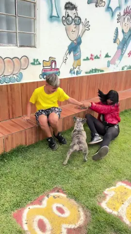 O extraordinário de viver 🤣