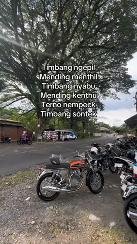 Loro untu onok tambane, loro ati angel marine🥹