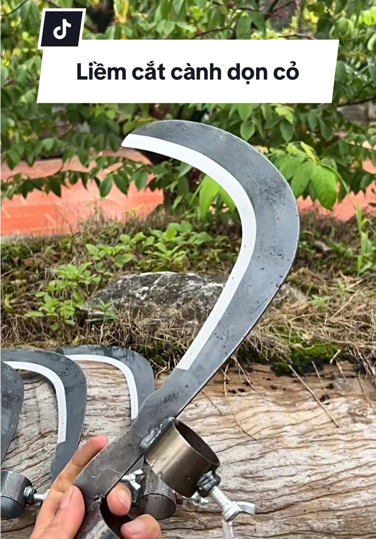 Liềm cắt cành trên cao dọn cỏ Đa năng #liemcatco #liemcatcanh #liemcatdanang #dungcunongnghiep #giadunglephuong #xuhuongtiktok 