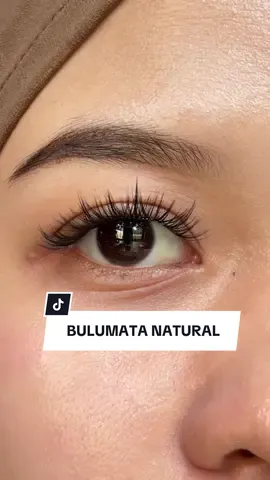 Natural tapi bkin mata makin cantikk  . #bulumata #fakelashes #lashes #lashesoftiktok #beautyplan #bulumatapalsu #natural #rekomendasi 
