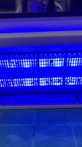 Last year ko pa tong binili and until now grabi ang dami paring langaw and lamok na ma ta trap and mamatay. Parang nanawag sta ng langaw yung blue lights nya #insectkiller #lamp #flys #insectlamp #sensorlamp #fyp #tiktokfinds 