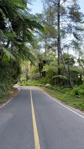 #danautoba #danautobasamosir #danautobasumut #laketoba #tobasamosir #toba #road #roadtrip #views #viewsproblem😭 #viewproblem #masyaallahtabarakkallah 