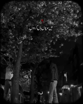 #Dil bolhy na kardy. . . . . . . .[Repost request 🥺]............... #foryoupage#fyp #100k#tiktokofficail#explore#trending#lerix#vibes#wattsap#edit#viral#foryouofficail#unfreezmyaccont@tiktok creators @TiktokPakistanOfficial 