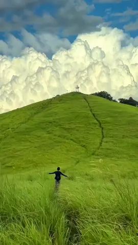 nostalgia...#feverdream #dreamcore #fyp #nostalgia #hopecore 