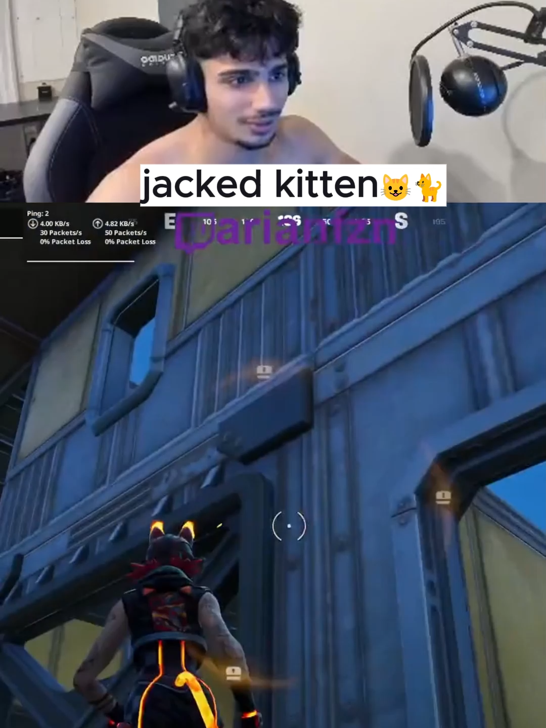 Twitch: arianfzn #meow #kitten