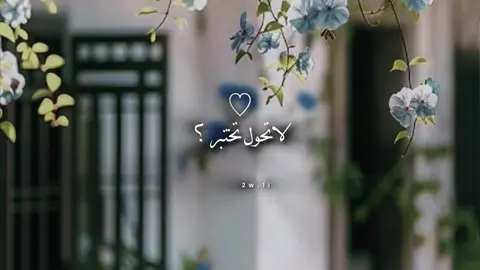 ونت حاجه مستحيل يصد قلبي عنها#اكسبلور #جبراتت📮١6 #مالي_خلق_احط_هاشتاقات #تصميم_فيديوهات🎶🎤🎬 #شيلات_فخمة❤️ #شيلات 