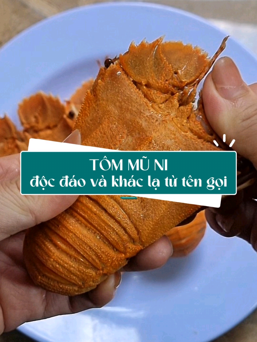 Tôm mũ ni ngoài hình dạng khác lạ, hương vị thơm ngon thì chúng còn có nhiều điều thú vị nữa mà có thể bạn chưa biết. #xuhuong #xuhuongtiktok #viralvideo #food #haisan #mehaisan #ly_mehaisan #haisanngonthuhettungcon #tommuni @Lỷ - mê hải sản 