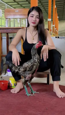 #ผู้หญิงเลี้ยงไก่ #อารียาฟาร์มควายไทยไก่ชu #ฟิดดดシ #tik_tok #ลิ้งกลุ่มหน้าโปร์ไฟล์ #สาวอุดร 