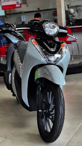 Sh Mode xám xi măng new 2025 #shmode #sh125 #honda #xetragop #hoabinhminh #xuhuong #trending #thinhhanh #viral #fyp @Yến Yến - Bình Minh An Sương 