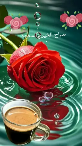 صباااح ااالورد وااالفل وااالياسمين 🌹🌹🌹🌹🌹🌹🌹🌹🌹