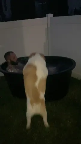 He thinks he is helping i don’t know what the hell this dog is doing 