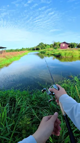Recap trip boncos X Ikan laut jelek🤣 #fishingvideo  #fishingvideos  #fyp  #fupシforyou  #fypシ 