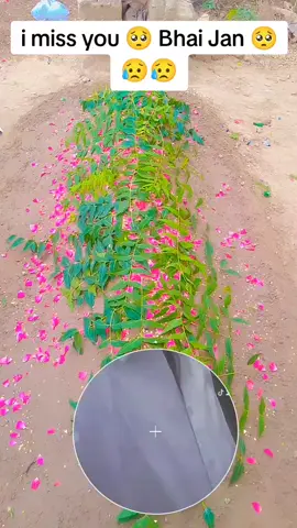 #imussyou💔💔 Bhai Jan 😥🥺🥺🥺🥺🥺😥😥😥