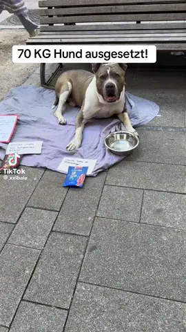 Ich hätte ihn mitgenommen 🥰😂😍😂🤣🥰😍😂