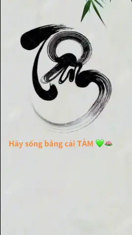 𝗛𝗮̃𝘆 𝘀𝗼̂́𝗻𝗴 𝗯𝗮̆̀𝗻𝗴 𝗰𝗮́𝗶 𝗧𝗔̂𝗠 💚🪷