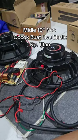 speaker Midle neodymium b&c 10ndl64-8 #speaker #midle #linearray #soundhoregjawatimur #video #soundviral #soundsystem #soundhajatan  #viral 