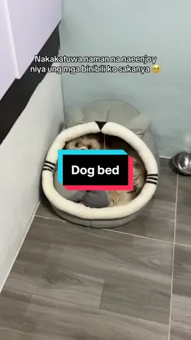 Fav place niya sa bahay yang dog bed nya 🥰 #dogsoftiktok #cutedogsoftiktok #dogbed #bedfordogs #fyp 