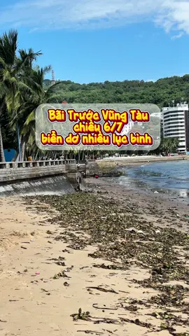 Biển Bãi Trước Vũng Tàu 